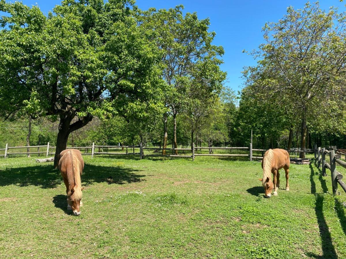Ranch Enbruca Apartman Boves Kültér fotó